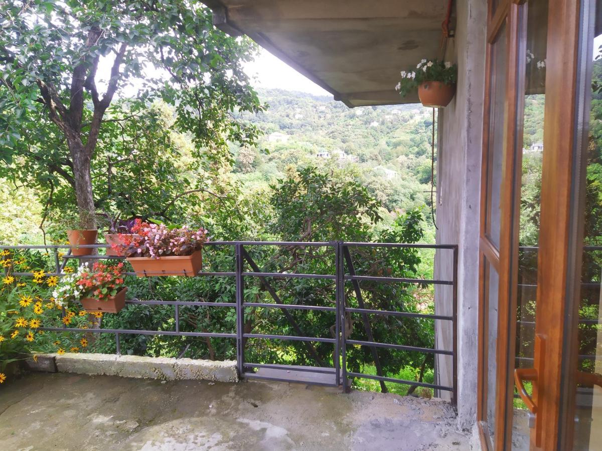 53 Jincharadze Street Makhinjauri, Batumi Exterior foto