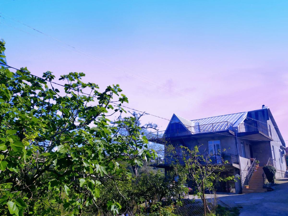 53 Jincharadze Street Makhinjauri, Batumi Exterior foto